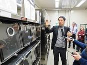 Microbiologia: cepa gripe aviar humanos