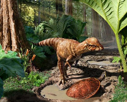 Hallada una nueva especie de dinosaurio en Canadá