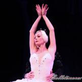 Pase de prensa, ‘El lago de los Cisnes’ Classical Russian Ballet