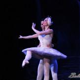 Pase de prensa, ‘El lago de los Cisnes’ Classical Russian Ballet