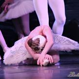 Pase de prensa, ‘El lago de los Cisnes’ Classical Russian Ballet