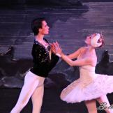 Pase de prensa, ‘El lago de los Cisnes’ Classical Russian Ballet
