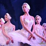 Pase de prensa, ‘El lago de los Cisnes’ Classical Russian Ballet