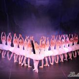 Pase de prensa, ‘El lago de los Cisnes’ Classical Russian Ballet