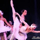 Pase de prensa, ‘El lago de los Cisnes’ Classical Russian Ballet