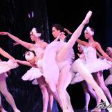 Pase de prensa, ‘El lago de los Cisnes’ Classical Russian Ballet
