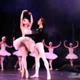 Pase de prensa, ‘El lago de los Cisnes’ Classical Russian Ballet