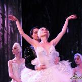 Pase de prensa, ‘El lago de los Cisnes’ Classical Russian Ballet