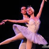 Pase de prensa, ‘El lago de los Cisnes’ Classical Russian Ballet