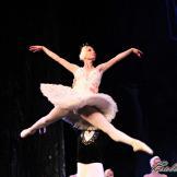 Pase de prensa, ‘El lago de los Cisnes’ Classical Russian Ballet