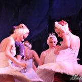 Pase de prensa, ‘El lago de los Cisnes’ Classical Russian Ballet