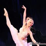 Pase de prensa, ‘El lago de los Cisnes’ Classical Russian Ballet