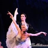 Pase de prensa, ‘El lago de los Cisnes’ Classical Russian Ballet