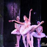 Pase de prensa, ‘El lago de los Cisnes’ Classical Russian Ballet