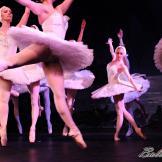 Pase de prensa, ‘El lago de los Cisnes’ Classical Russian Ballet