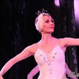 Pase de prensa, ‘El lago de los Cisnes’ Classical Russian Ballet