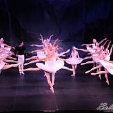 Pase de prensa, ‘El lago de los Cisnes’ Classical Russian Ballet