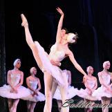 Pase de prensa, ‘El lago de los Cisnes’ Classical Russian Ballet