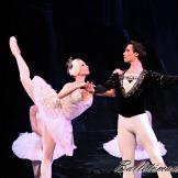 Pase de prensa, ‘El lago de los Cisnes’ Classical Russian Ballet