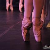 Pase de prensa, ‘El lago de los Cisnes’ Classical Russian Ballet