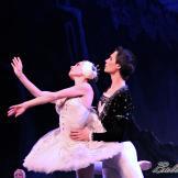 Pase de prensa, ‘El lago de los Cisnes’ Classical Russian Ballet