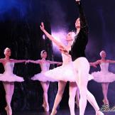 Pase de prensa, ‘El lago de los Cisnes’ Classical Russian Ballet