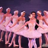 Pase de prensa, ‘El lago de los Cisnes’ Classical Russian Ballet