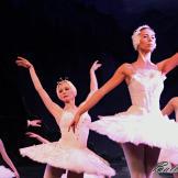 Pase de prensa, ‘El lago de los Cisnes’ Classical Russian Ballet