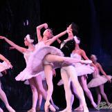 Pase de prensa, ‘El lago de los Cisnes’ Classical Russian Ballet