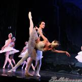 Pase de prensa, ‘El lago de los Cisnes’ Classical Russian Ballet