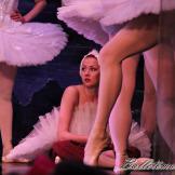 Pase de prensa, ‘El lago de los Cisnes’ Classical Russian Ballet