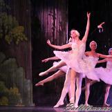Pase de prensa, ‘El lago de los Cisnes’ Classical Russian Ballet