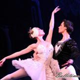 Pase de prensa, ‘El lago de los Cisnes’ Classical Russian Ballet