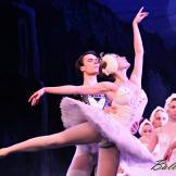 Pase de prensa, ‘El lago de los Cisnes’ Classical Russian Ballet