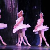 Pase de prensa, ‘El lago de los Cisnes’ Classical Russian Ballet