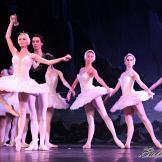 Pase de prensa, ‘El lago de los Cisnes’ Classical Russian Ballet