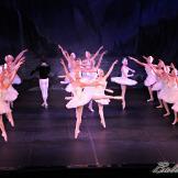 Pase de prensa, ‘El lago de los Cisnes’ Classical Russian Ballet