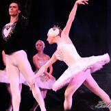 Pase de prensa, ‘El lago de los Cisnes’ Classical Russian Ballet