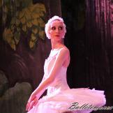 Pase de prensa, ‘El lago de los Cisnes’ Classical Russian Ballet