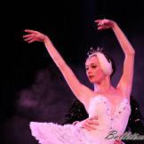 Pase de prensa, ‘El lago de los Cisnes’ Classical Russian Ballet