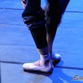 Pase de prensa, ‘El lago de los Cisnes’ Classical Russian Ballet