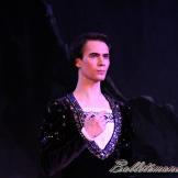 Pase de prensa, ‘El lago de los Cisnes’ Classical Russian Ballet