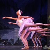 Pase de prensa, ‘El lago de los Cisnes’ Classical Russian Ballet