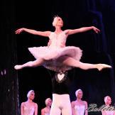 Pase de prensa, ‘El lago de los Cisnes’ Classical Russian Ballet