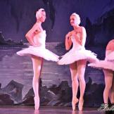 Pase de prensa, ‘El lago de los Cisnes’ Classical Russian Ballet