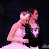 Pase de prensa, ‘El lago de los Cisnes’ Classical Russian Ballet