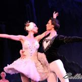 Pase de prensa, ‘El lago de los Cisnes’ Classical Russian Ballet