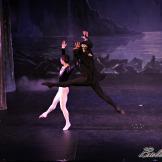 Pase de prensa, ‘El lago de los Cisnes’ Classical Russian Ballet