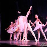 Pase de prensa, ‘El lago de los Cisnes’ Classical Russian Ballet