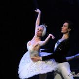 Pase de prensa, ‘El lago de los Cisnes’ Classical Russian Ballet